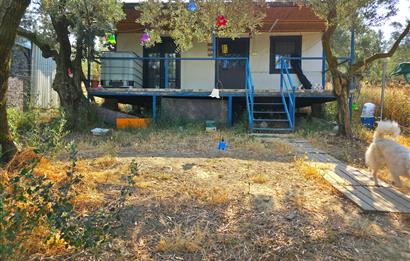 C21 Cius; Gedelek 396m² Göl Doğa Manzaralı Yola cephe Hobi bahç.
