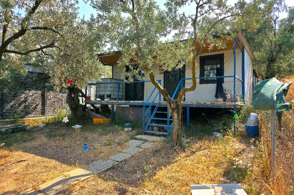 C21 Cius; Gedelek 396m² Göl Doğa Manzaralı Yola cephe Hobi bahç.