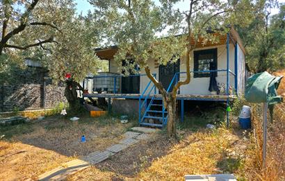 C21 Cius; Gedelek 396m² Göl Doğa Manzaralı Yola cephe Hobi bahç.