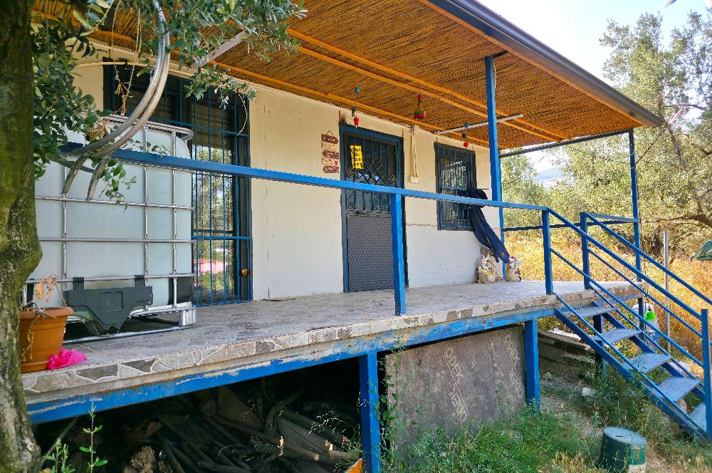 C21 Cius; Gedelek 396m² Göl Doğa Manzaralı Yola cephe Hobi bahç.