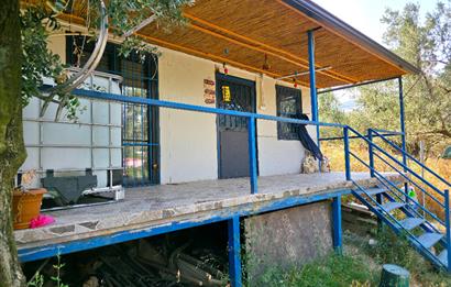 C21 Cius; Gedelek 396m² Göl Doğa Manzaralı Yola cephe Hobi bahç.