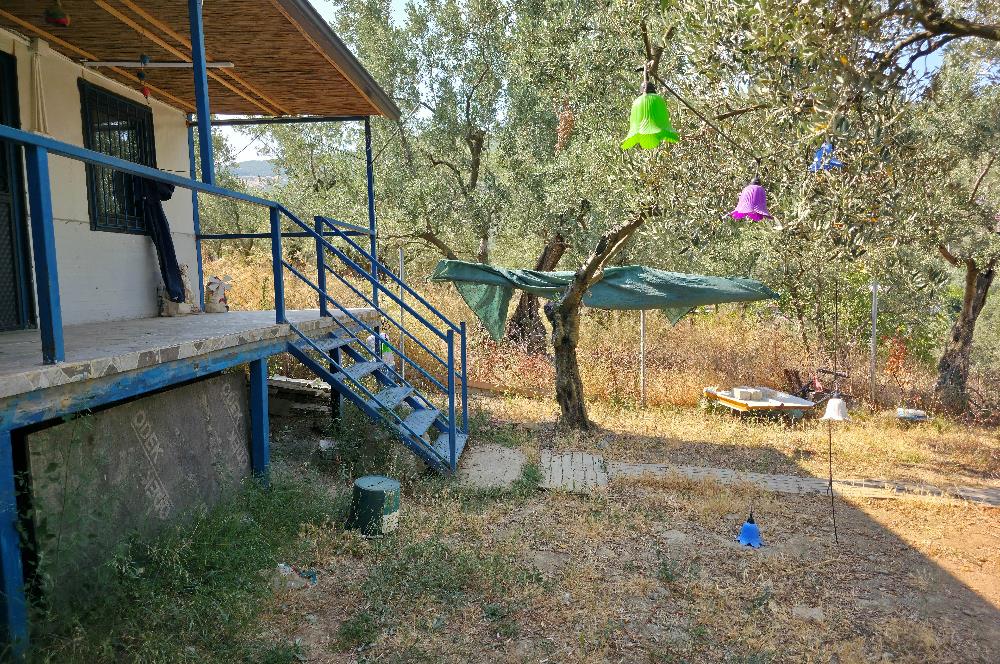 C21 Cius; Gedelek 396m² Göl Doğa Manzaralı Yola cephe Hobi bahç.