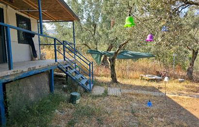 C21 Cius; Gedelek 396m² Göl Doğa Manzaralı Yola cephe Hobi bahç.