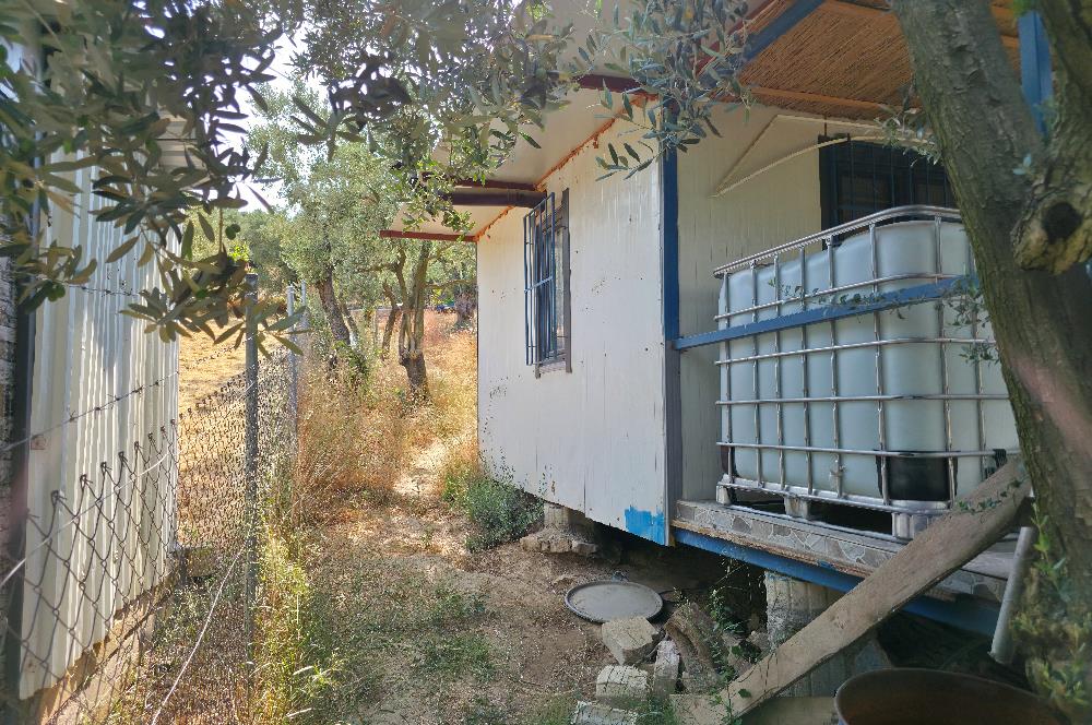C21 Cius; Gedelek 396m² Göl Doğa Manzaralı Yola cephe Hobi bahç.