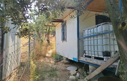 C21 Cius; Gedelek 396m² Göl Doğa Manzaralı Yola cephe Hobi bahç.