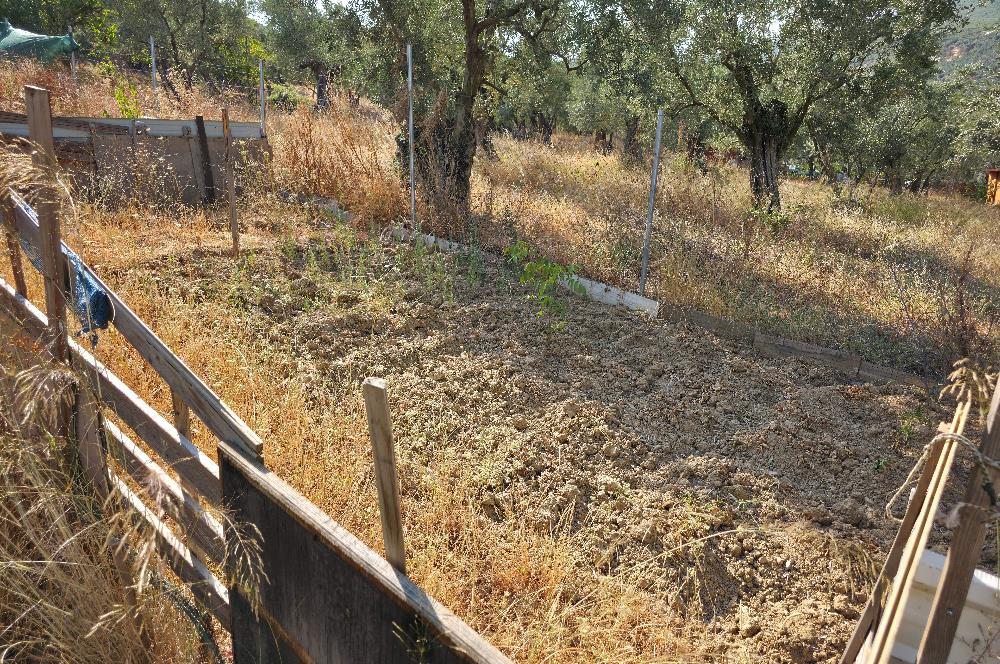 C21 Cius; Gedelek 396m² Göl Doğa Manzaralı Yola cephe Hobi bahç.