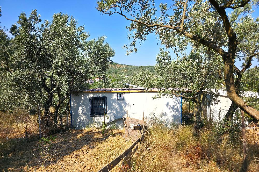 C21 Cius; Gedelek 396m² Göl Doğa Manzaralı Yola cephe Hobi bahç.