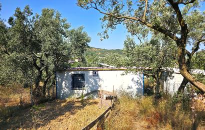 C21 Cius; Gedelek 396m² Göl Doğa Manzaralı Yola cephe Hobi bahç.