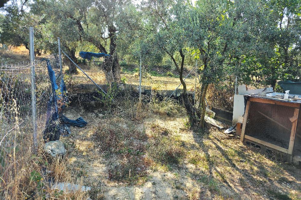 C21 Cius; Gedelek 396m² Göl Doğa Manzaralı Yola cephe Hobi bahç.
