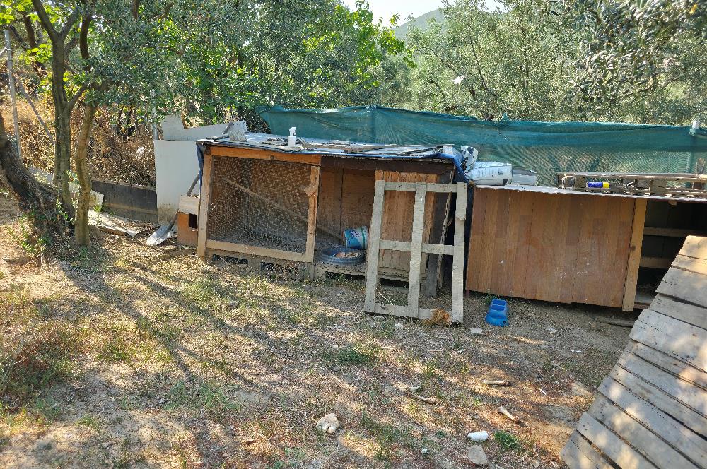C21 Cius; Gedelek 396m² Göl Doğa Manzaralı Yola cephe Hobi bahç.