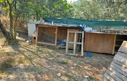 C21 Cius; Gedelek 396m² Göl Doğa Manzaralı Yola cephe Hobi bahç.