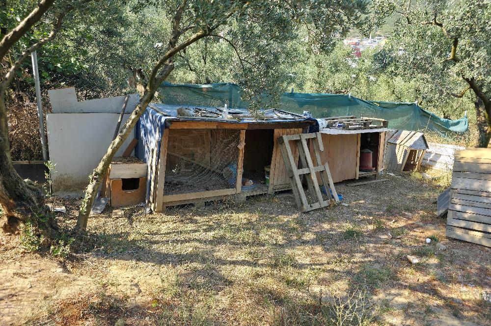 C21 Cius; Gedelek 396m² Göl Doğa Manzaralı Yola cephe Hobi bahç.