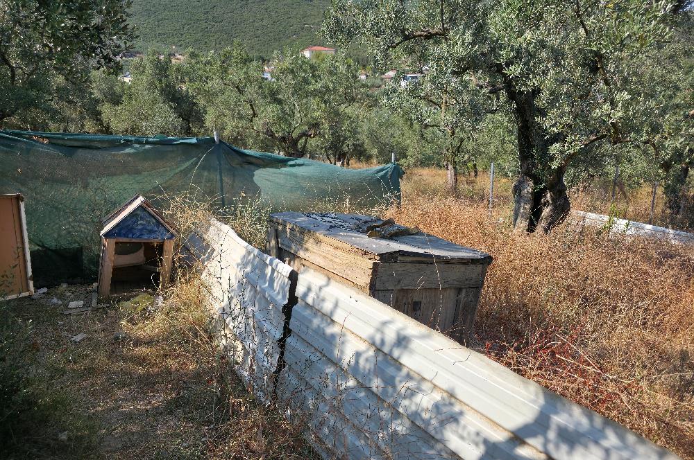 C21 Cius; Gedelek 396m² Göl Doğa Manzaralı Yola cephe Hobi bahç.