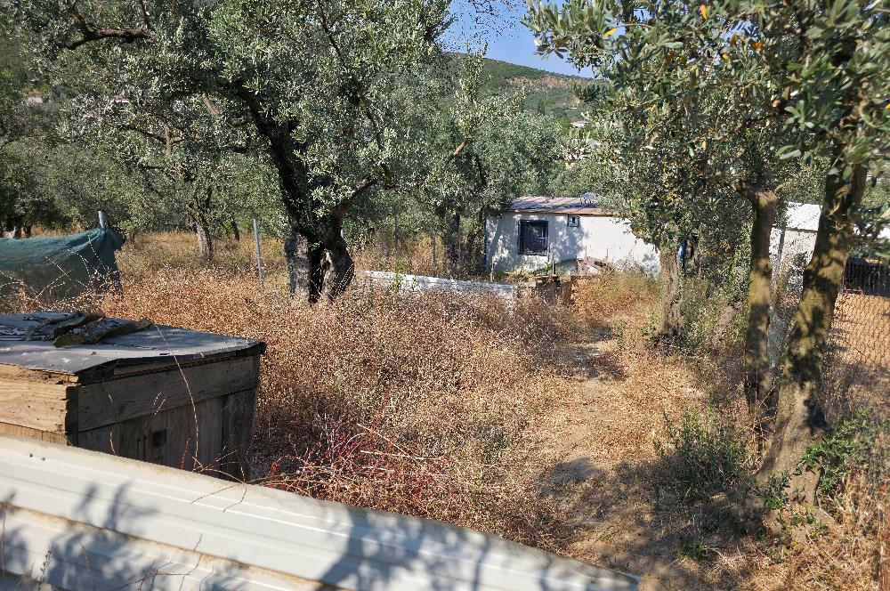 C21 Cius; Gedelek 396m² Göl Doğa Manzaralı Yola cephe Hobi bahç.