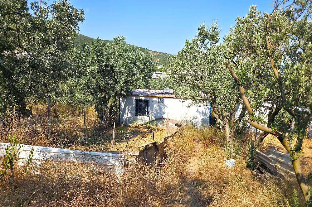 C21 Cius; Gedelek 396m² Göl Doğa Manzaralı Yola cephe Hobi bahç.