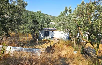 C21 Cius; Gedelek 396m² Göl Doğa Manzaralı Yola cephe Hobi bahç.