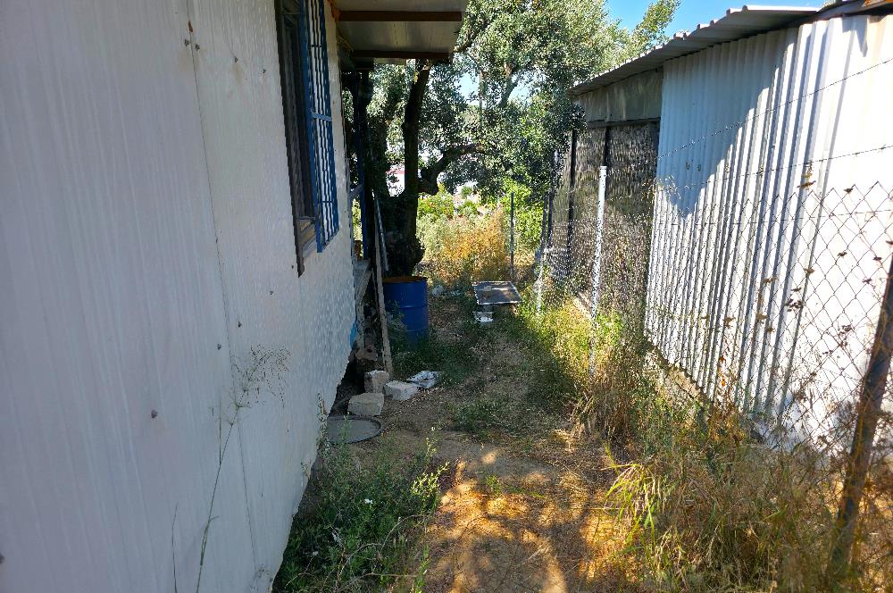C21 Cius; Gedelek 396m² Göl Doğa Manzaralı Yola cephe Hobi bahç.