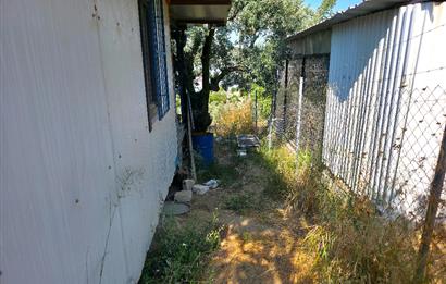 C21 Cius; Gedelek 396m² Göl Doğa Manzaralı Yola cephe Hobi bahç.