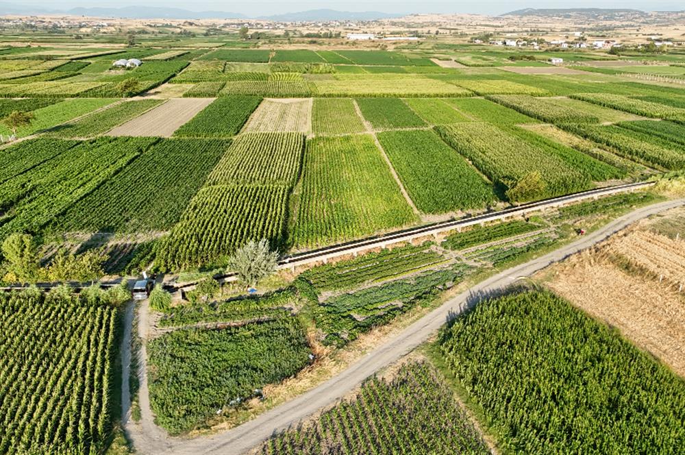 C21 WİNNER BALIKESİR ATKÖY 1.175m² SATILIK TARLA