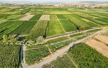 C21 WİNNER BALIKESİR ATKÖY 1.175m² SATILIK TARLA