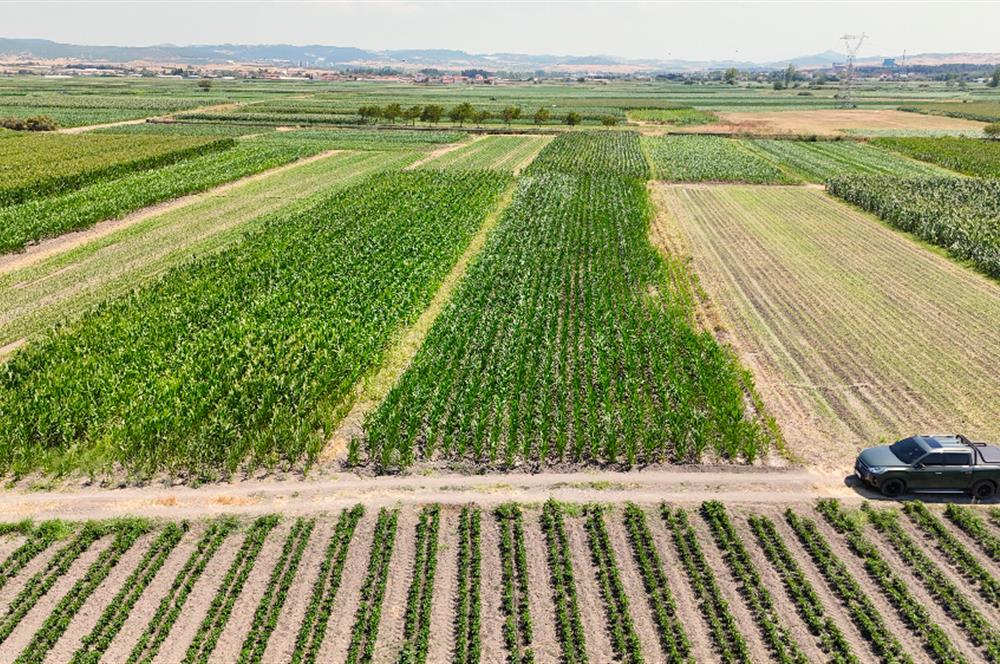 C21 WİNNER BALIKESİR ATKÖY 1.500m² SATILIK TARLA