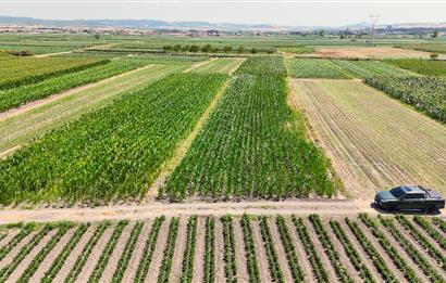 C21 WİNNER BALIKESİR ATKÖY 1.500m² SATILIK TARLA