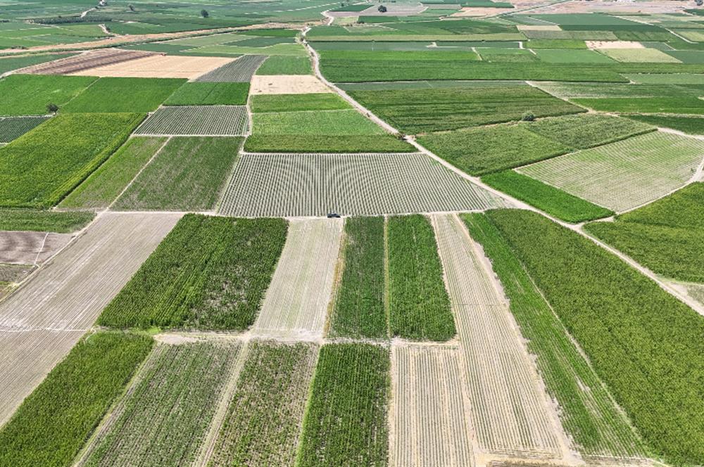 C21 WİNNER BALIKESİR ATKÖY 1.500m² SATILIK TARLA