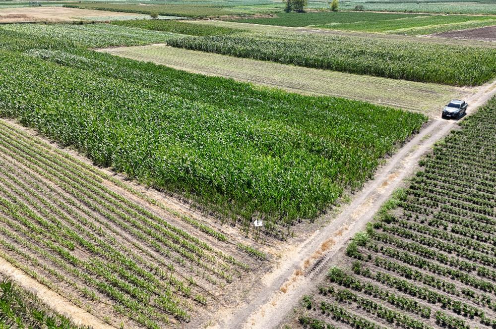 C21 WİNNER BALIKESİR ATKÖY 1.500m² SATILIK TARLA