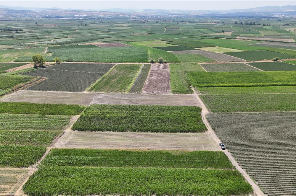 C21 WİNNER BALIKESİR ATKÖY 1.500m² SATILIK TARLA