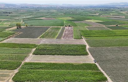 C21 WİNNER BALIKESİR ATKÖY 1.500m² SATILIK TARLA