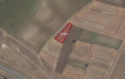 793 m² Tekirdağ Saray Sofular'da Satılık Bağ Arsası