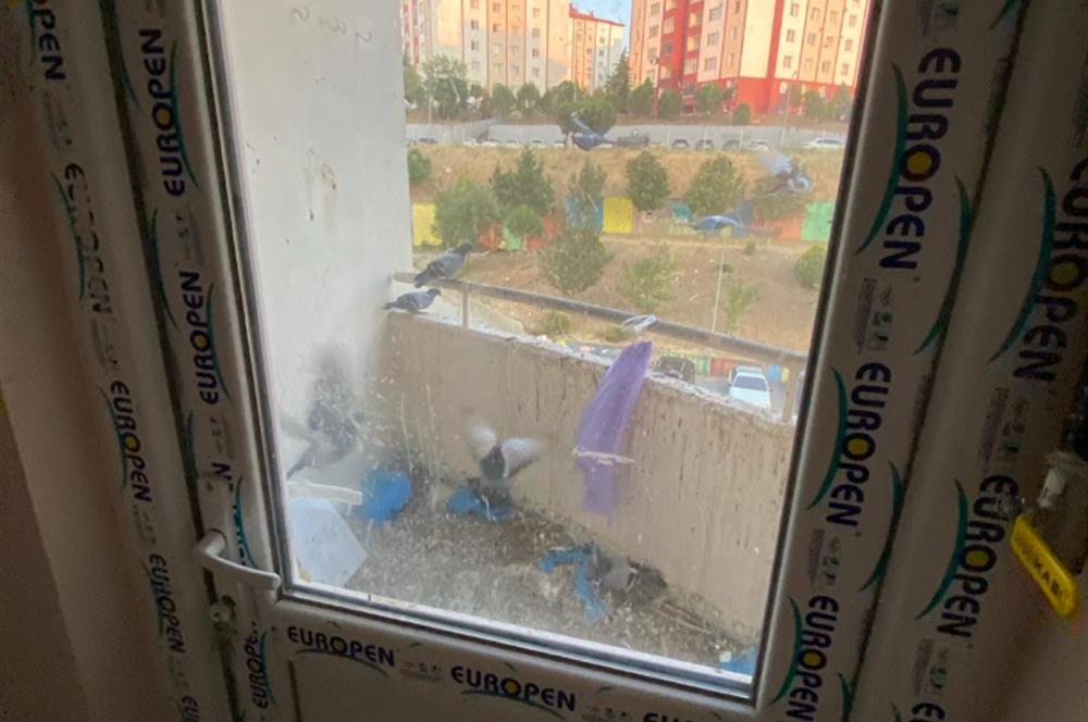 CENTURY21 BAL'DAN TERCİH EDİLEN A BLOKLARDA TEMİZ KİRALIK 1+1