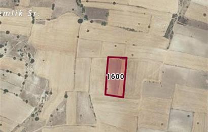 CENTURY21 BAL'DAN HOTAŞLAR MAH.DE SATILIK 7150 M2 TARLA