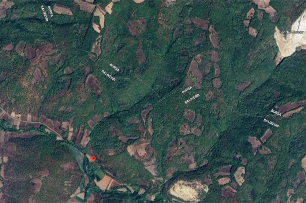 C21 BAL'DAN BALIKESİR KEPSUT YAYLABAŞI SATILIK TARLA