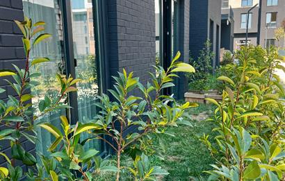 C21 LOCA’DAN EMLAK KONUTLARINDA KİRALIK DAİRE