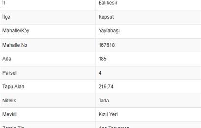 C21 BAL'DAN BALIKESİR KEPSUT YAYLABAŞI SATILIK TARLA