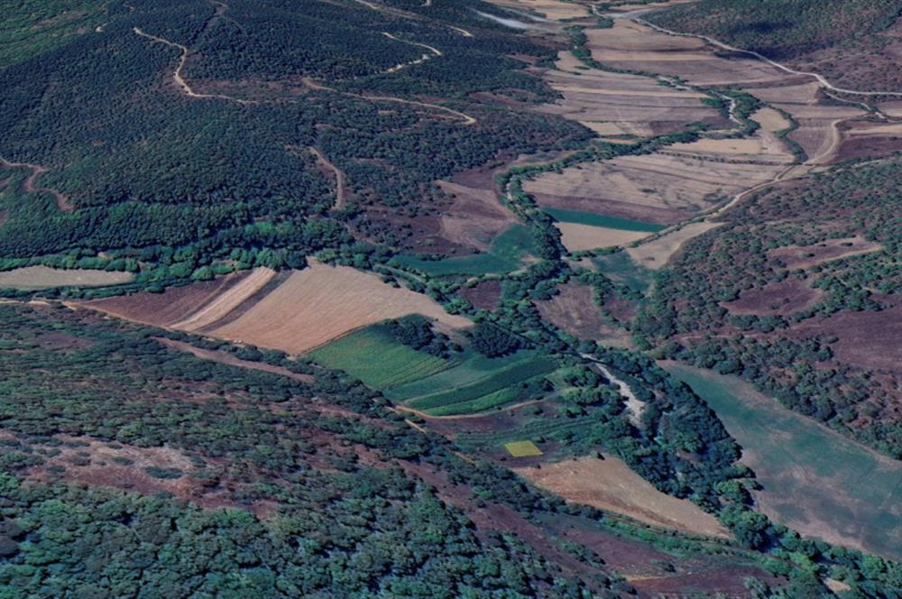 C21 BAL'DAN BALIKESİR KEPSUT YAYLABAŞI SATILIK TARLA