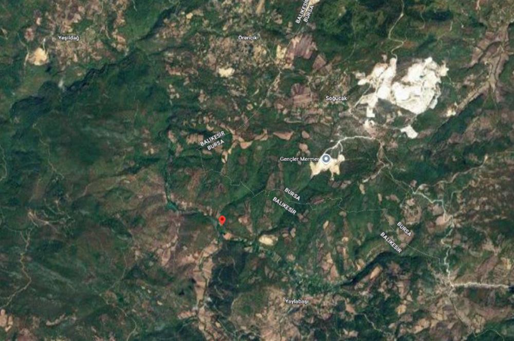 C21 BAL'DAN BALIKESİR KEPSUT YAYLABAŞI SATILIK TARLA