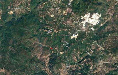 C21 BAL'DAN BALIKESİR KEPSUT YAYLABAŞI SATILIK TARLA