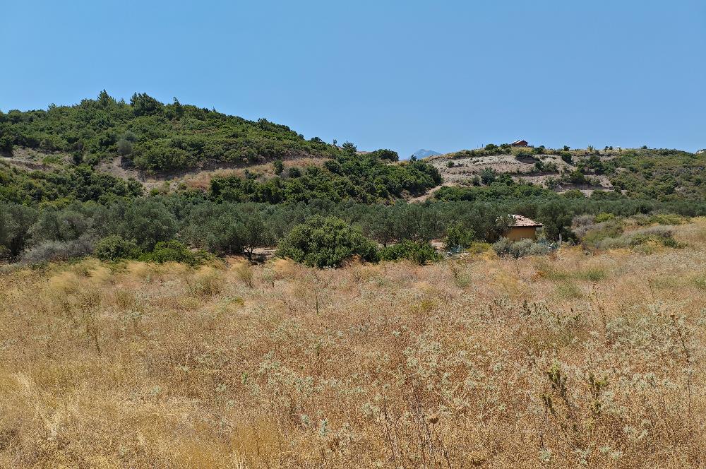 DATÇA REŞADİYE'DE YATIRIMLIK 5.463 M2 TARLA