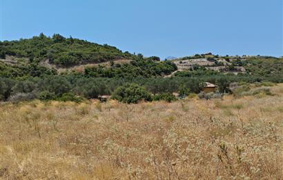 DATÇA REŞADİYE'DE YATIRIMLIK 5.463 M2 TARLA