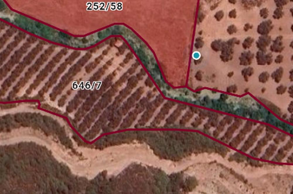 DATÇA REŞADİYE'DE YATIRIMLIK 5.463 M2 TARLA