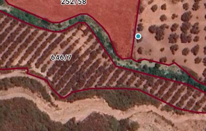 DATÇA REŞADİYE'DE YATIRIMLIK 5.463 M2 TARLA