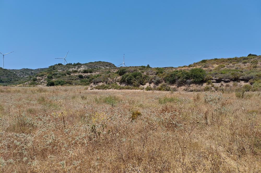 DATÇA REŞADİYE'DE YATIRIMLIK 5.463 M2 TARLA