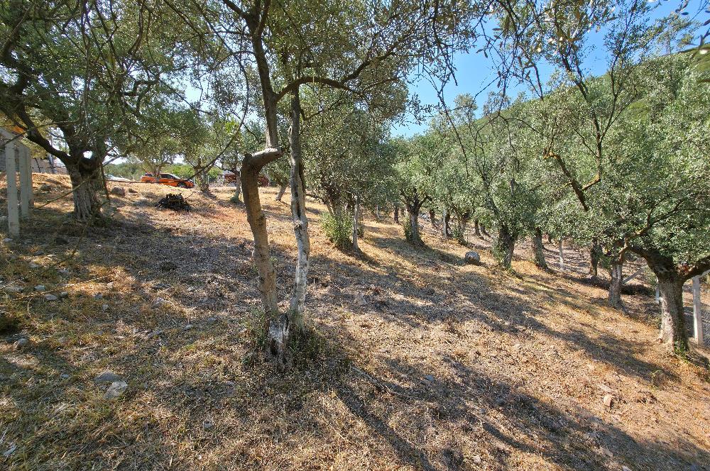 C21 Cius; Gedelek 1865m² Göl ve Doğa Manzaralı Yola Cephe Fırsat