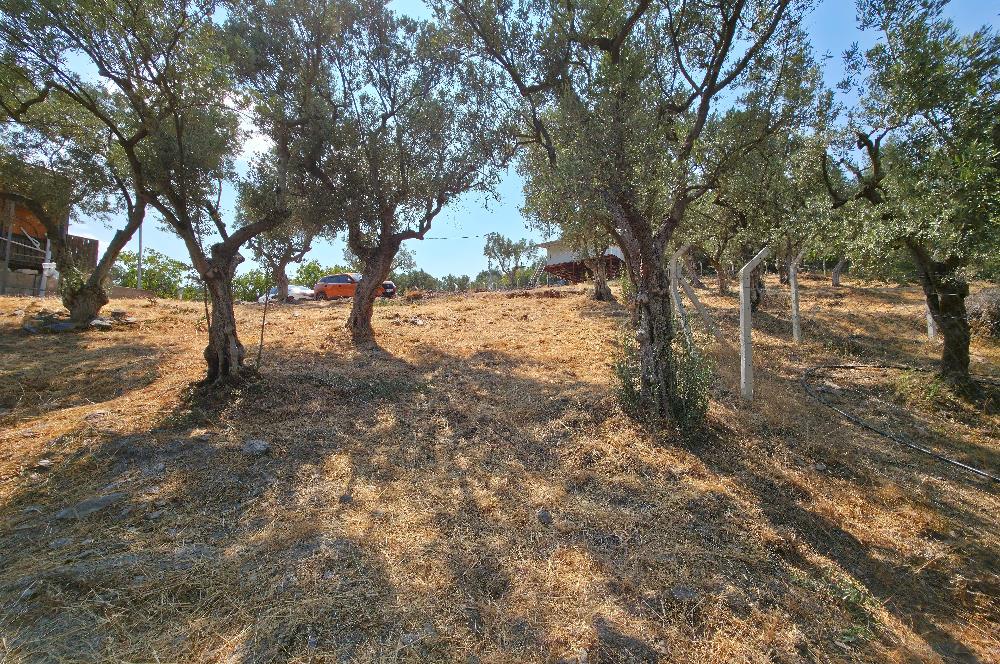 C21 Cius; Gedelek 1865m² Göl ve Doğa Manzaralı Yola Cephe Fırsat