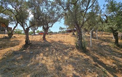 C21 Cius; Gedelek 1865m² Göl ve Doğa Manzaralı Yola Cephe Fırsat