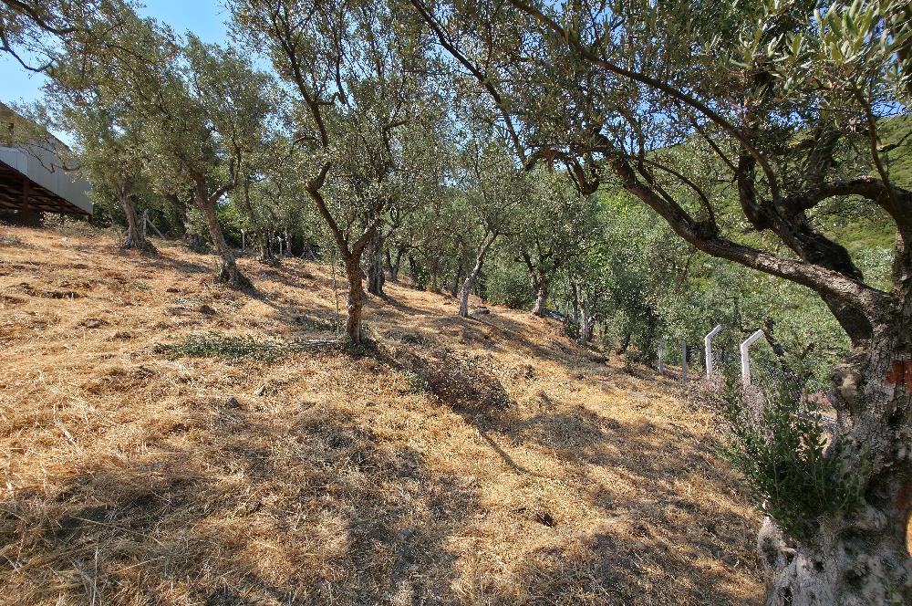 C21 Cius; Gedelek 1865m² Göl ve Doğa Manzaralı Yola Cephe Fırsat