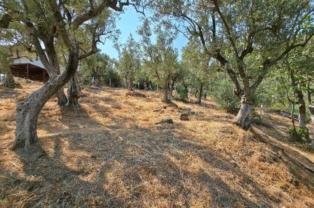 C21 Cius; Gedelek 1865m² Göl ve Doğa Manzaralı Yola Cephe Fırsat