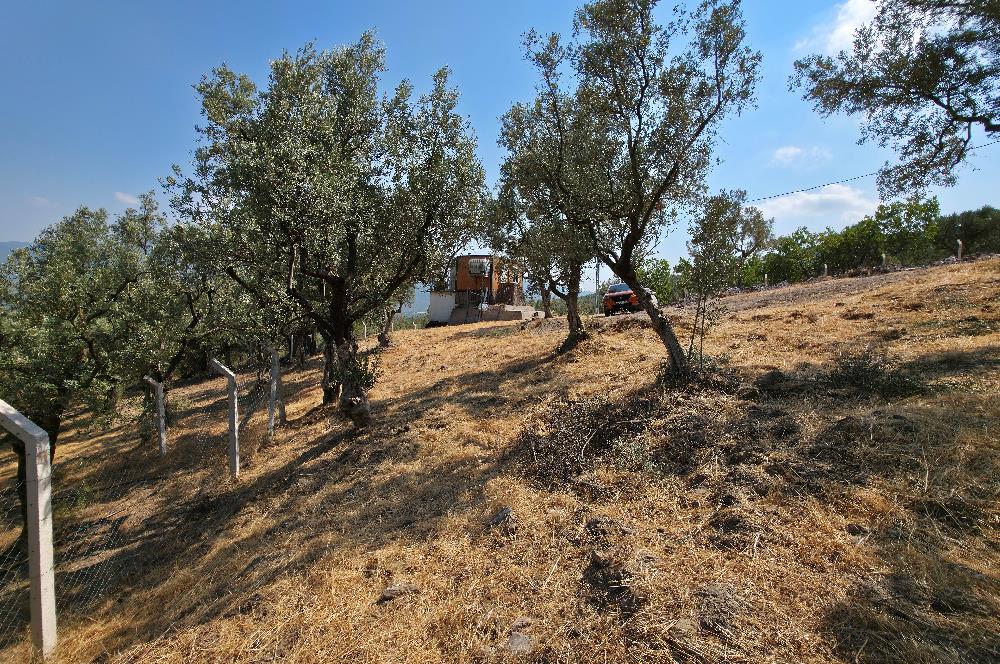 C21 Cius; Gedelek 1865m² Göl ve Doğa Manzaralı Yola Cephe Fırsat